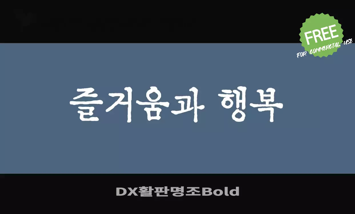 「DX활판명조Bold」字体效果图