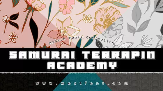 Typographic Design of Samurai-Terrapin-Academy