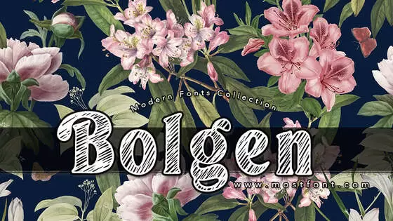 「Bolgen」字体排版样式