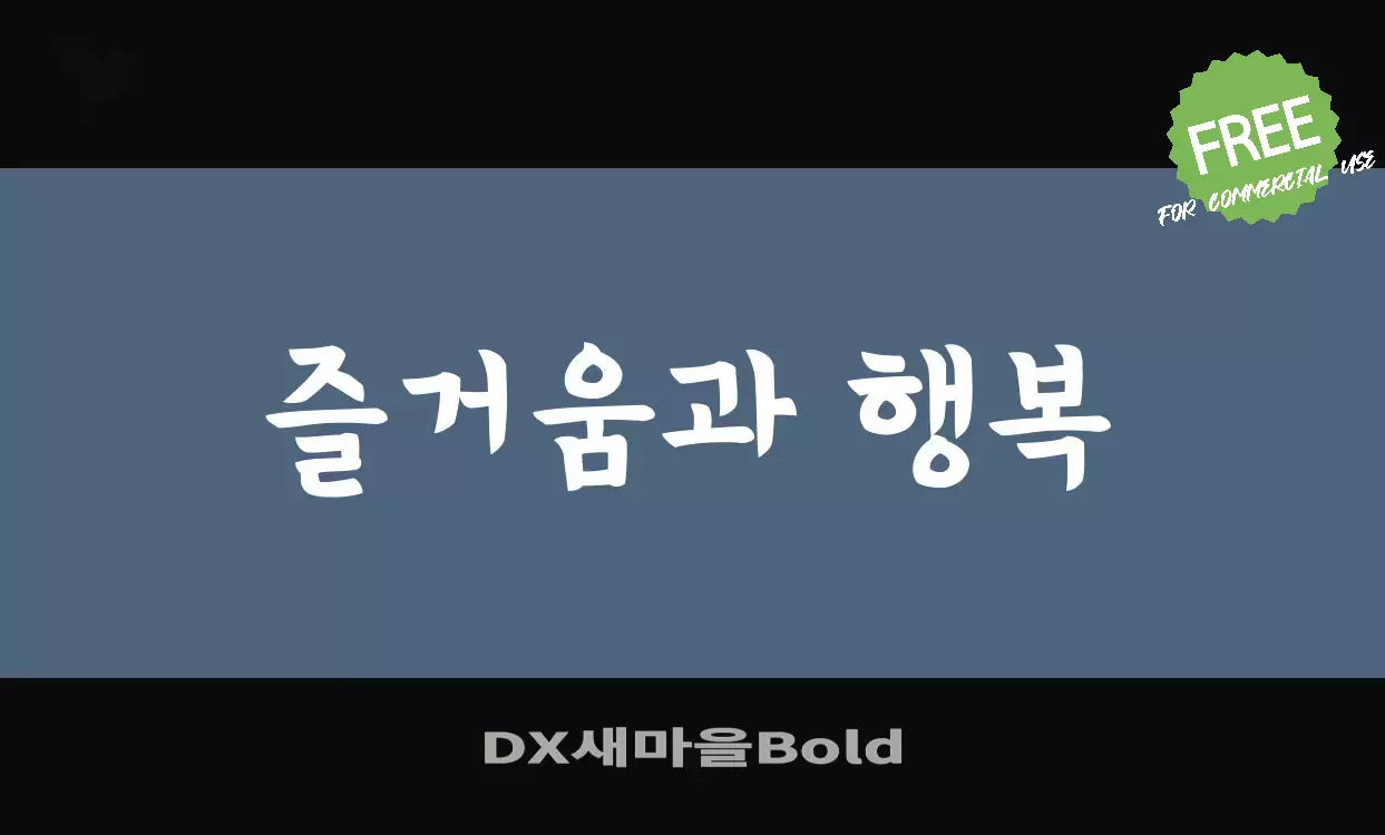 「DX새마을Bold」字体效果图