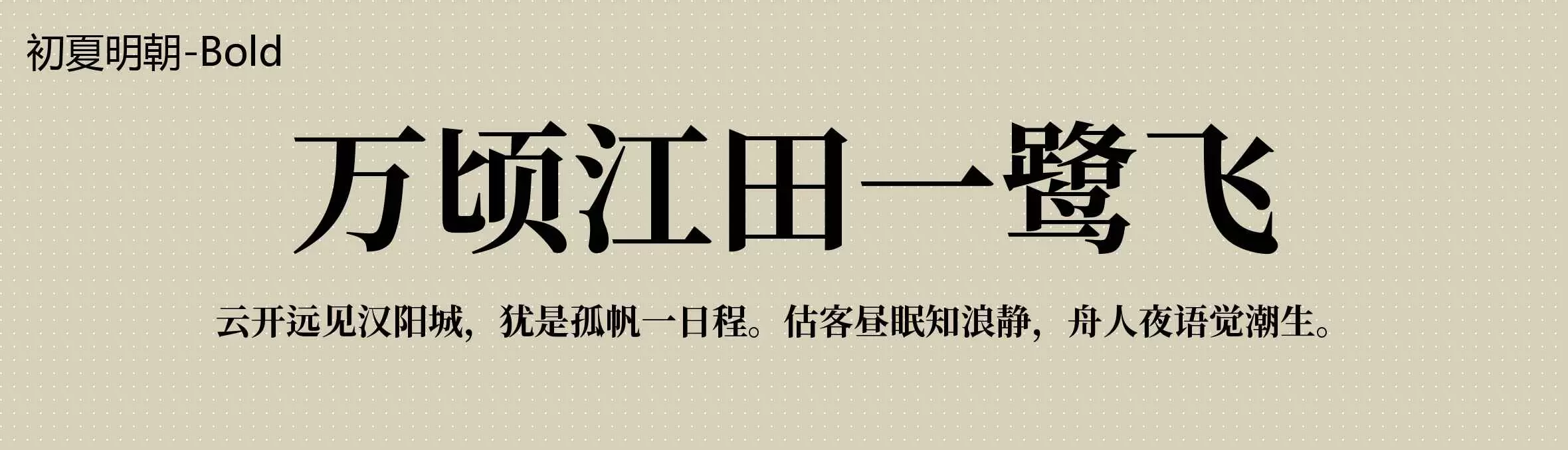 「Bold」字体效果图