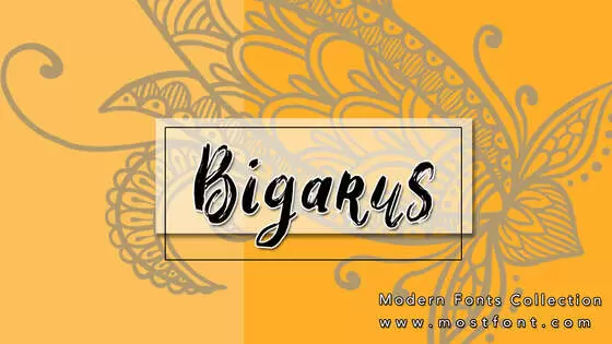 「Bigarus」字体排版图片