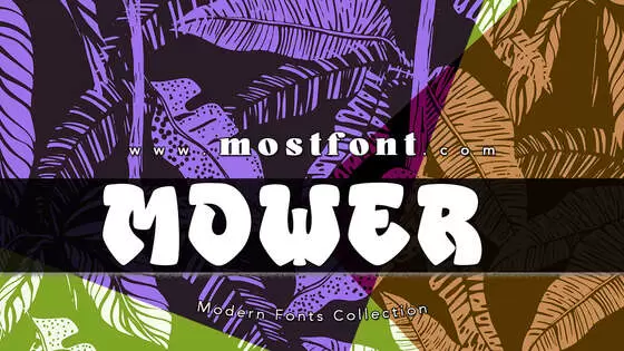 「MOWER」字体排版图片