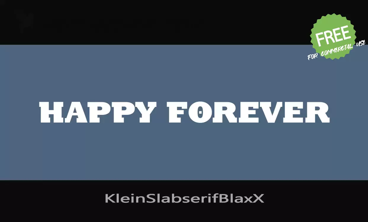 「KleinSlabserifBlaxX」字体效果图