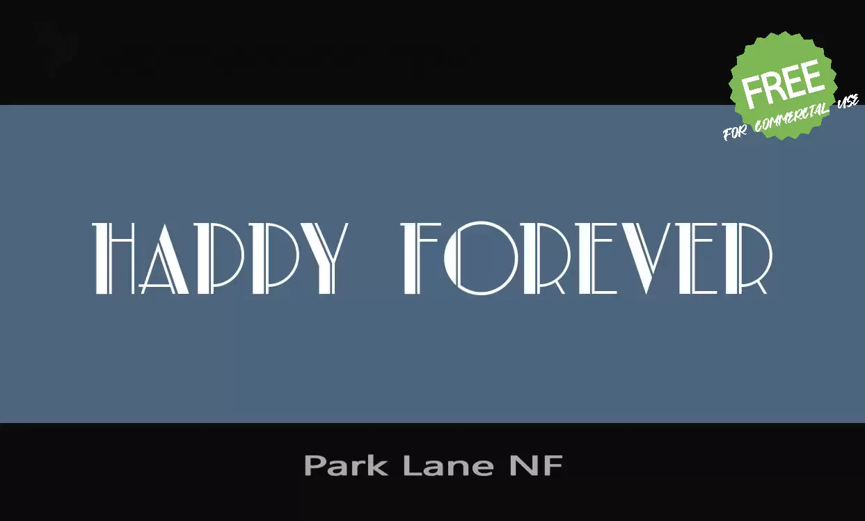 「Park-Lane-NF」字体效果图
