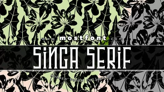 Typographic Design of Singa-Serif-DEMO