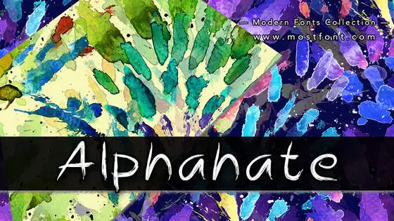 「Alphahate」字体排版样式