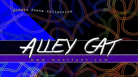 Typographic Design of Alley-Cat