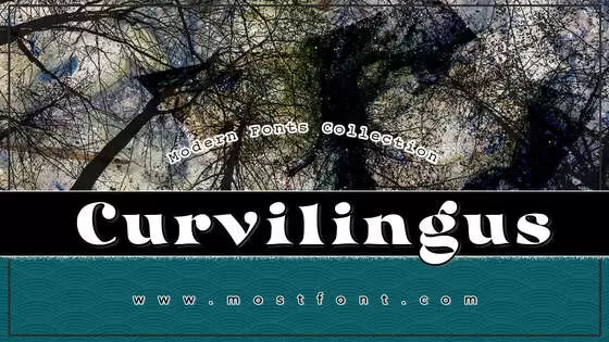 「Curvilingus」字体排版图片
