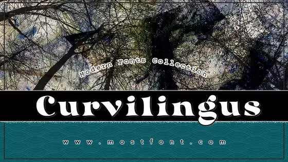 Typographic Design of Curvilingus