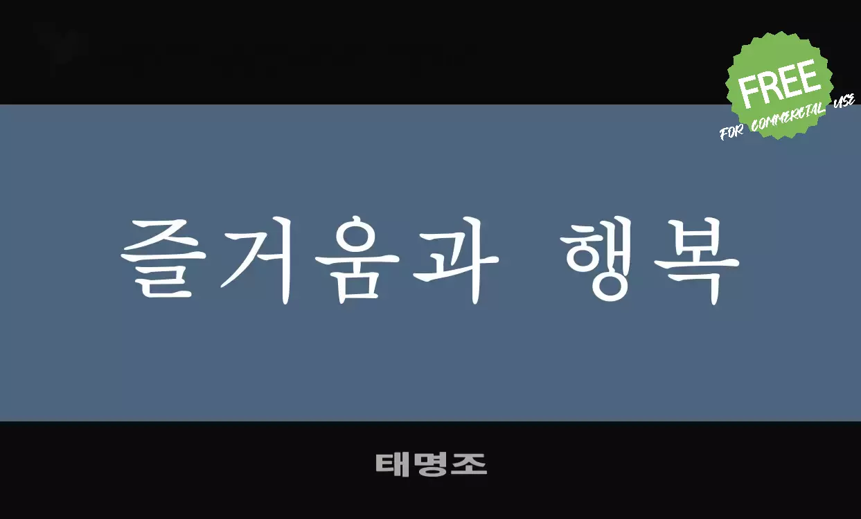 Font Sample of 태명조