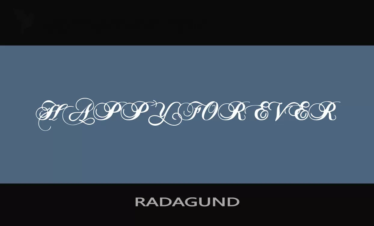 「RADAGUND」字体效果图