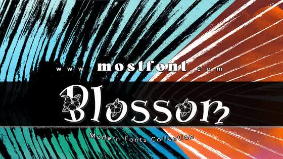 Typographic Design of Blossom