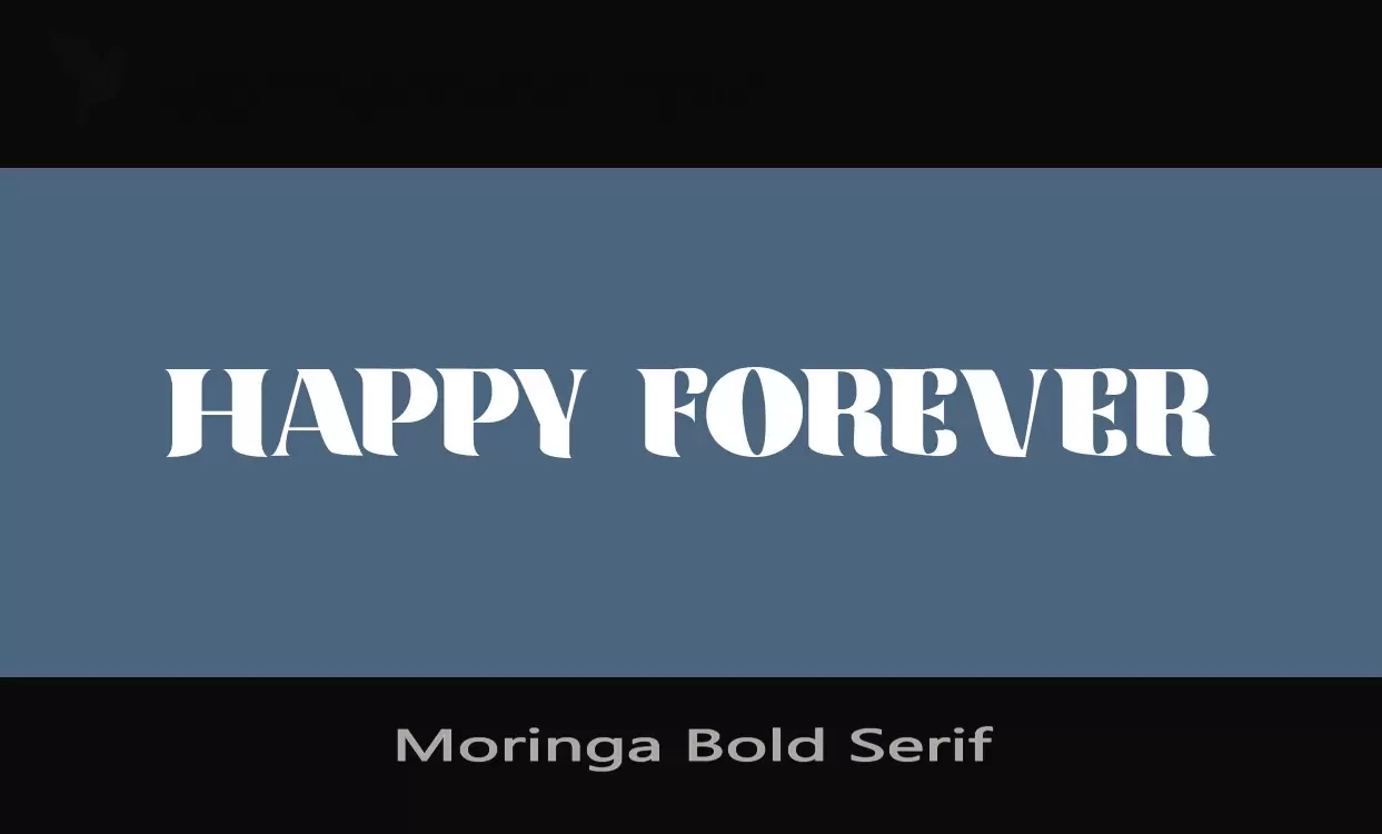 Sample of Moringa-Bold-Serif