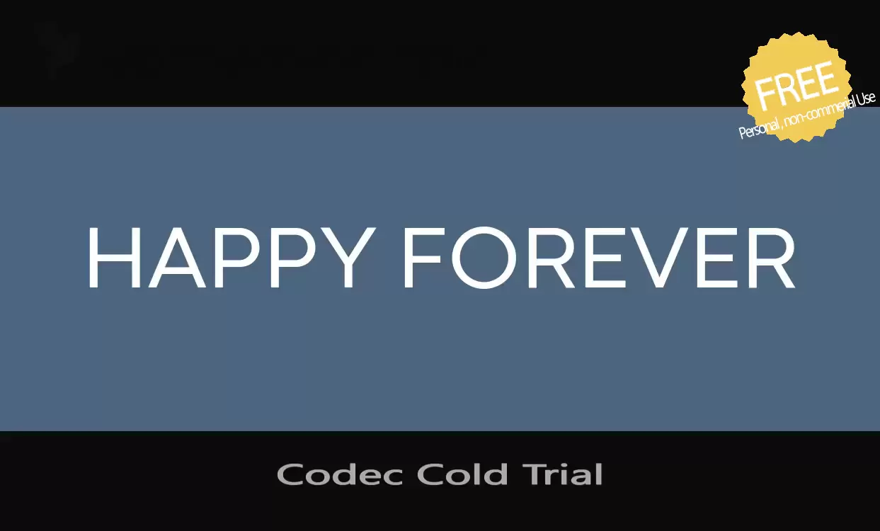「Codec-Cold-Trial」字体效果图