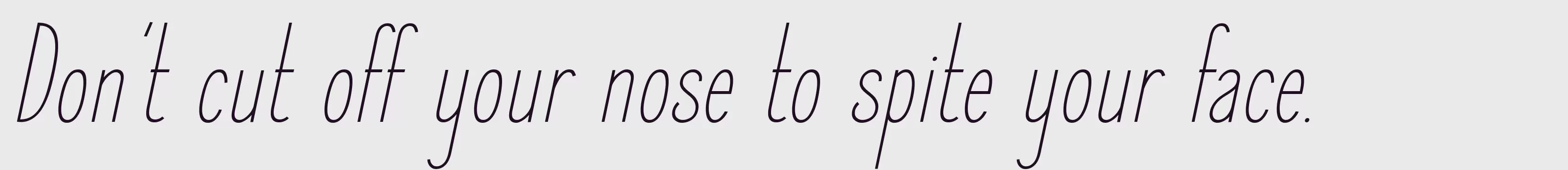 「Elegant Sans Light Italic」字体效果图