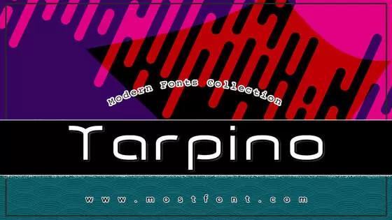 Typographic Design of Tarpino