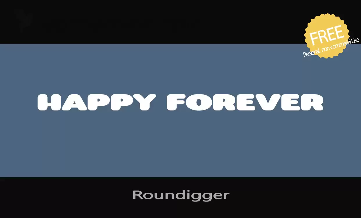 「Roundigger」字体效果图