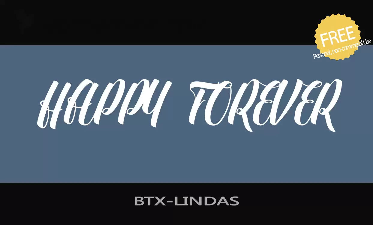 「BTX-LINDAS」字体效果图