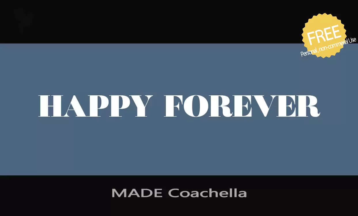 「MADE-Coachella」字体效果图