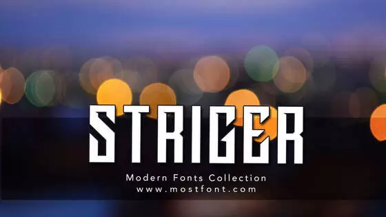 Typographic Design of STRIGER
