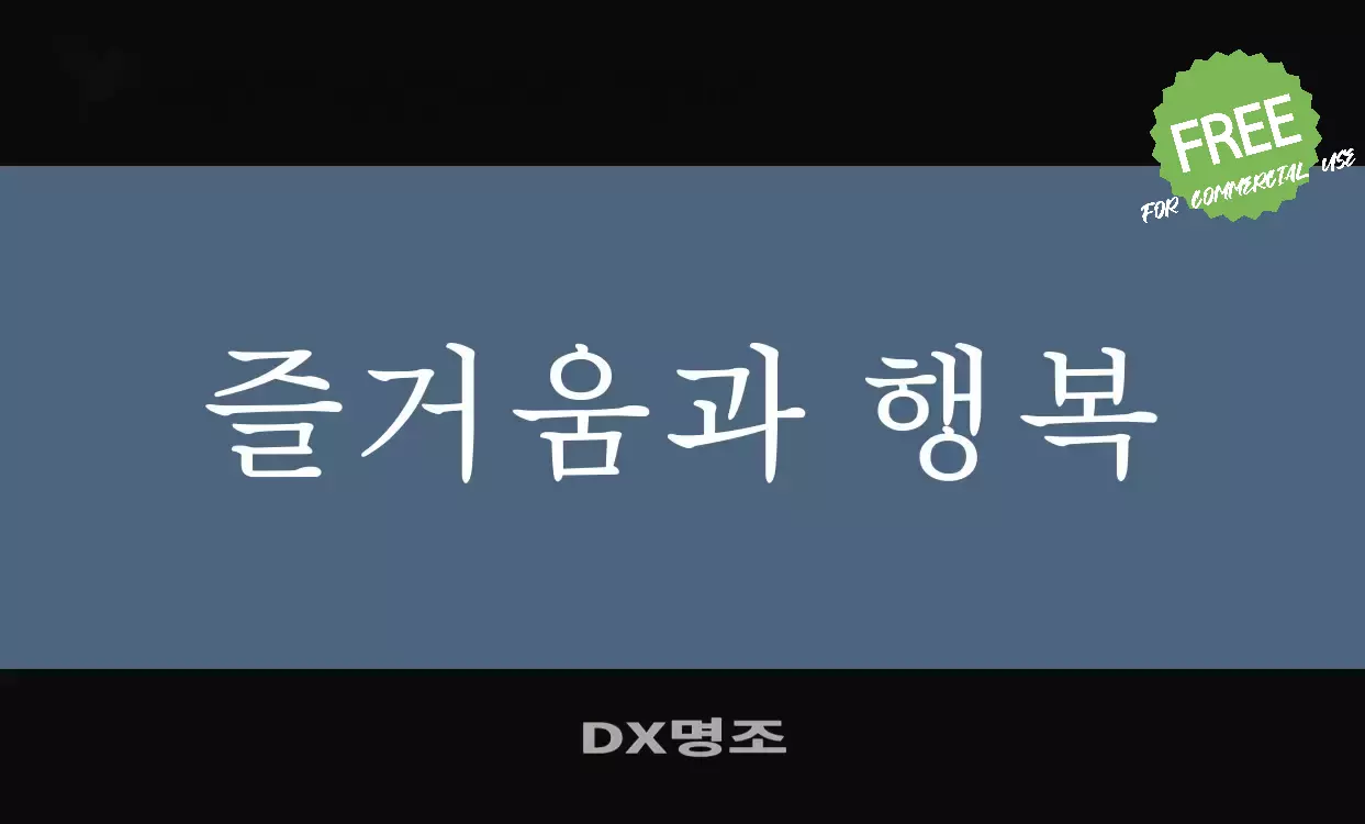 Sample of DX명조