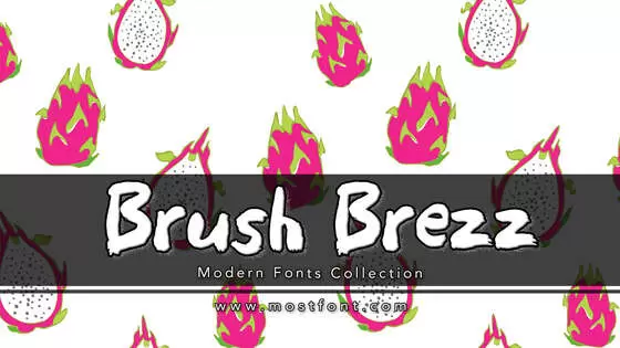 Typographic Design of Brush-Brezz