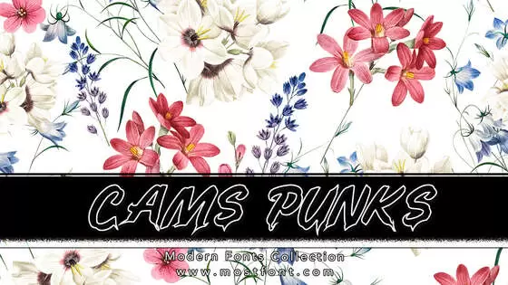 「CAMS-PUNKS」字体排版样式
