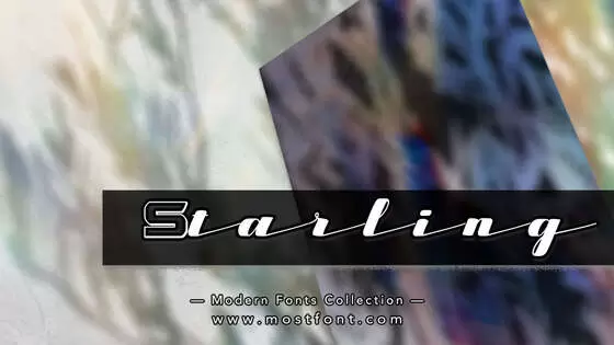 「Starling」字体排版图片