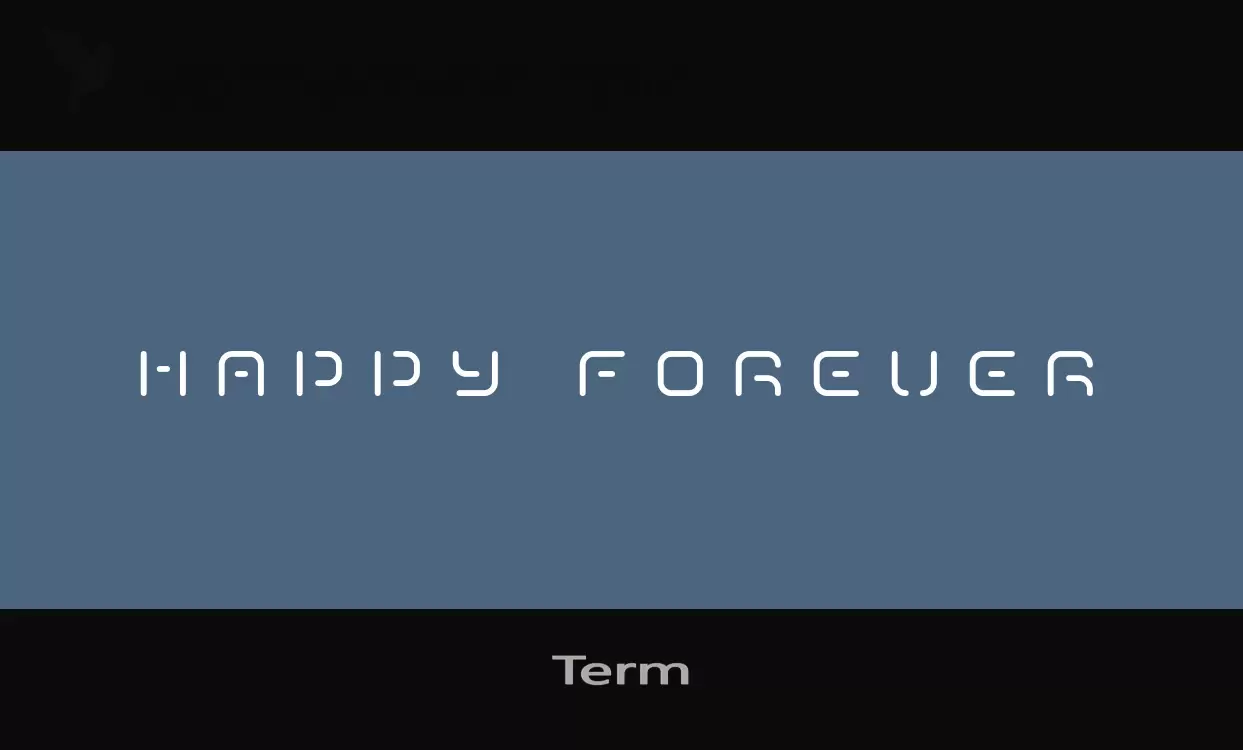 「Term」字体效果图