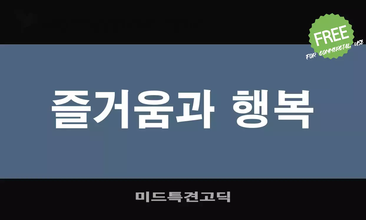 「미드특견고딕」字体效果图