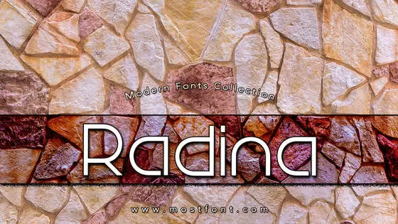 「Radina」字体排版图片