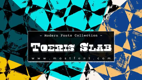 Typographic Design of Toeris-Slab