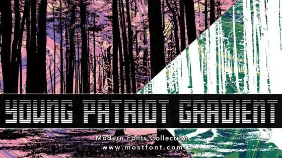 「Young-Patriot-Gradient」字体排版样式