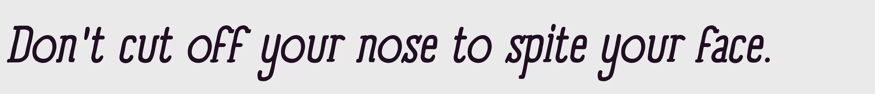 「panforte_serif_regular_italic」字体效果图