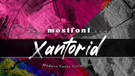 Typographic Design of Xantorid