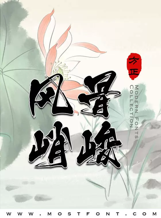 Typographic Design of 方正白舟忍者体-简