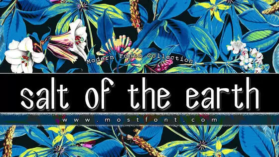 Typographic Design of Salt-Of-The-Earth