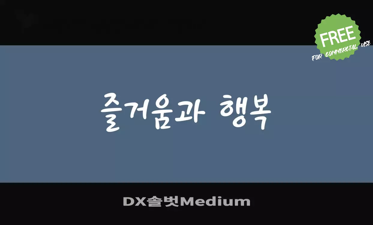 「DX솔벗Medium」字体效果图