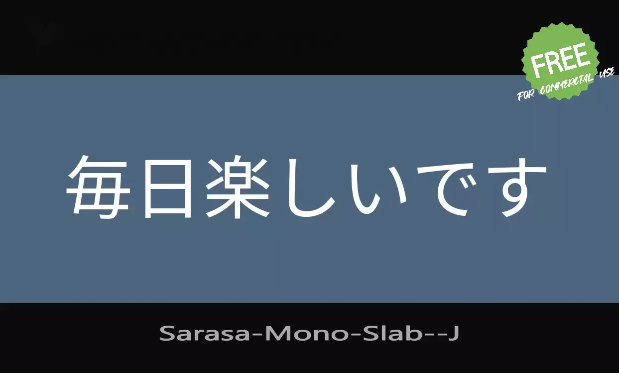 「Sarasa-Mono-Slab-」字体效果图