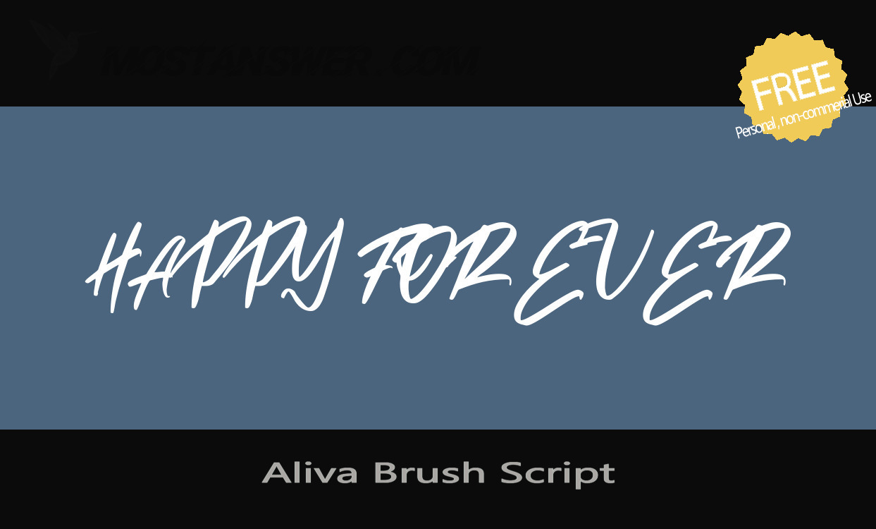 Aliva Brush Script Font by Dirtyline Studio
