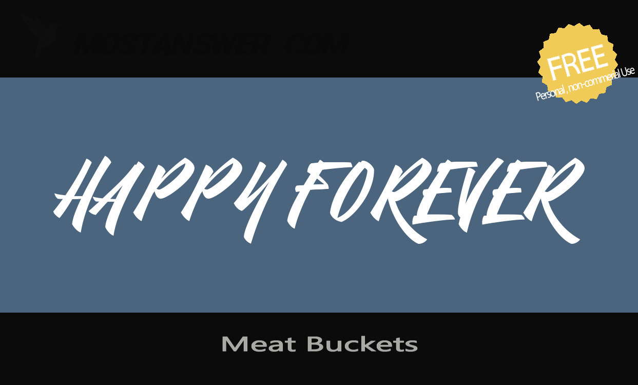 Meatbuckets Font by StereoType